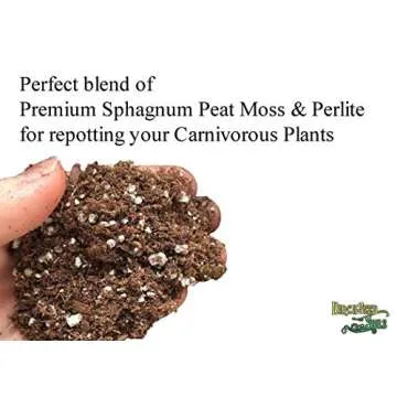All Natural Carnivorous Plant Soil Mix for Thriving Plants 1 Quart