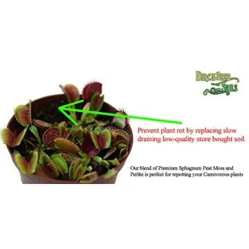 All Natural Carnivorous Plant Soil Mix for Thriving Plants 1 Quart
