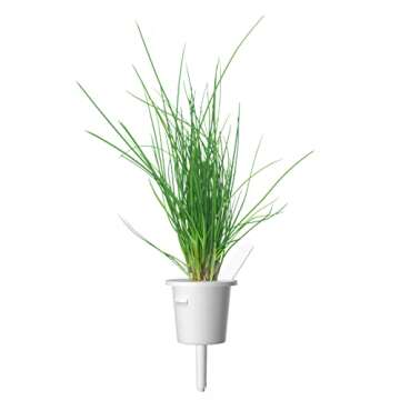 Click and Grow Smart Garden Chives Plant Pods, 9-Pack