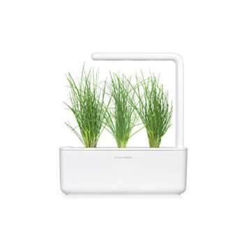 Click and Grow Smart Garden Chives Plant Pods, 9-Pack