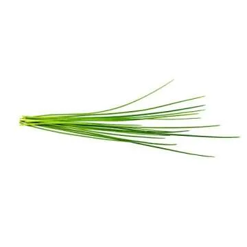 Click and Grow Smart Garden Chives Plant Pods, 9-Pack