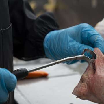 Yardbird Stainless Steel Lung Remover, Textured Handle, Angled Head, Easy Clean Materials, 41794