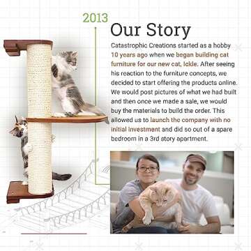 Stylish Cat Hammock & Climbing Center for Cats