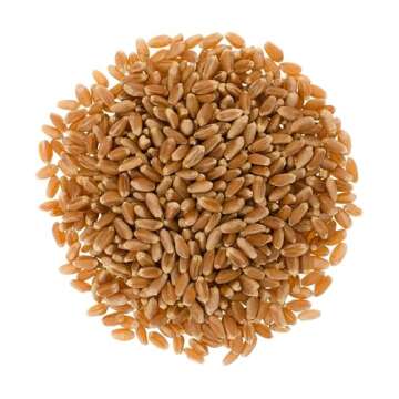Certified Glyphosate Residue Free Hard Red Winter Wheat Berries | 5 LBS | Family Farmed in Washingto...