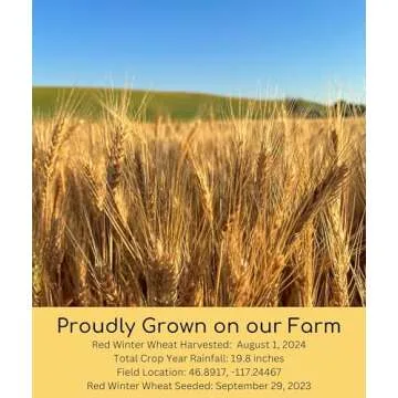 Certified Glyphosate-Free Hard Red Winter Wheat | 5 LBS