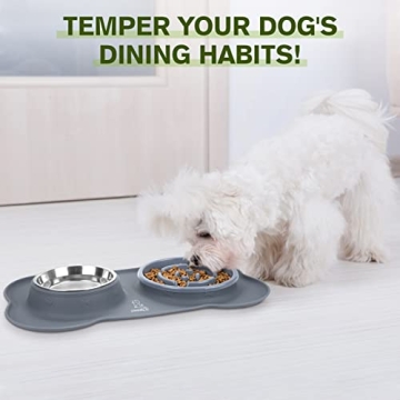 Pecute Slow Feeder Dog Bowl with No-Spill Mat for Pets