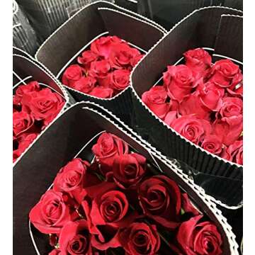 Farm Direct 125 Premium Fresh Red Roses | Fresh Flower Delivery - Stunning Bright Red Roses