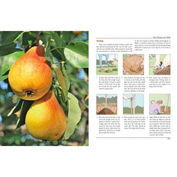 The Illustrated Encyclopedia of Country Living: Beekeeping, Canning and Preserving, Cheese Making, Disaster Preparedness, Fermenting, Growing ... Raising Livestock, Soap Making, and more!