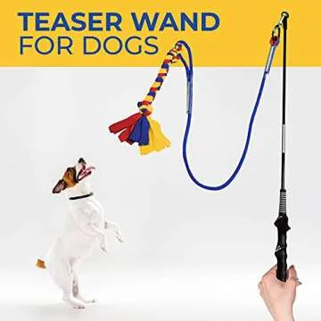 CHEERING PET Flirt Pole for Dogs - Fun Interactive Toy