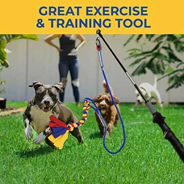 CHEERING PET Flirt Pole for Dogs - Fun Interactive Toy