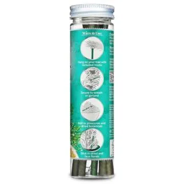 Scentsicles O Christmas Tree Scented Ornaments - 2 Bottles