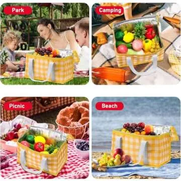 Insulated Picnic Bag Cooler - Portable & Collapsible Beach Bag