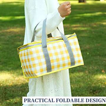 Insulated Picnic Bag Cooler - Portable & Collapsible Beach Bag