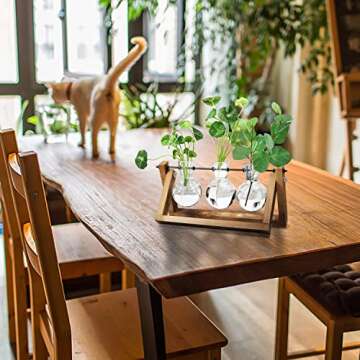 Mozing Bulb Vase, Desktop Clear Glass Planter Bulb Vase with Solid Wooden Stand and Metal Swivel Holder for Hydroponics Plants Home Garden Wedding Decoration(No Included Plants)