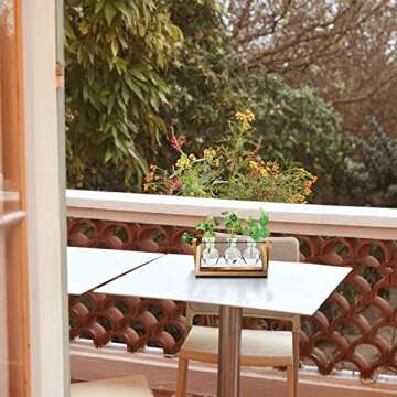 Mozing Bulb Vase, Desktop Clear Glass Planter Bulb Vase with Solid Wooden Stand and Metal Swivel Holder for Hydroponics Plants Home Garden Wedding Decoration(No Included Plants)