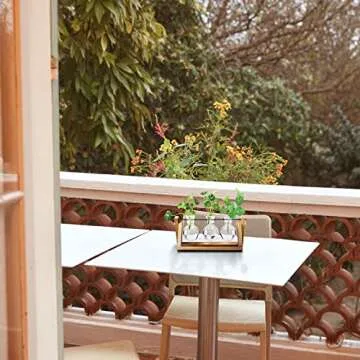 Mozing Bulb Vase, Desktop Clear Glass Planter Bulb Vase with Solid Wooden Stand and Metal Swivel Holder for Hydroponics Plants Home Garden Wedding Decoration(No Included Plants)