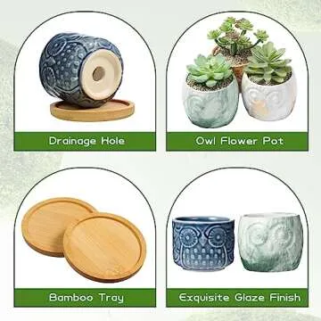 Domensi 12 Pack Owl Succulent Pots Mini Ceramic Planter with Drainage Hole and Bamboo Tray Mini Owl Flower Pot Set Cactus Pot Cute Plant Pots for Home Office Desktop Windowsill Decoration Gifts