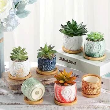 Domensi 12 Pack Owl Succulent Pots Mini Ceramic Planter with Drainage Hole and Bamboo Tray Mini Owl Flower Pot Set Cactus Pot Cute Plant Pots for Home Office Desktop Windowsill Decoration Gifts