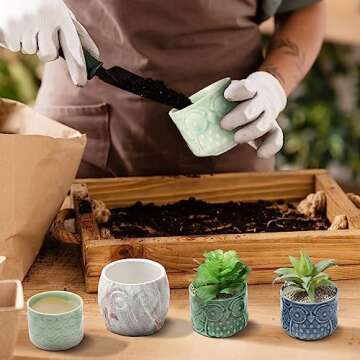 Domensi 12 Pack Owl Succulent Pots Mini Ceramic Planter with Drainage Hole and Bamboo Tray Mini Owl Flower Pot Set Cactus Pot Cute Plant Pots for Home Office Desktop Windowsill Decoration Gifts