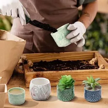 Domensi 12 Pack Owl Succulent Pots Mini Ceramic Planter with Drainage Hole and Bamboo Tray Mini Owl Flower Pot Set Cactus Pot Cute Plant Pots for Home Office Desktop Windowsill Decoration Gifts