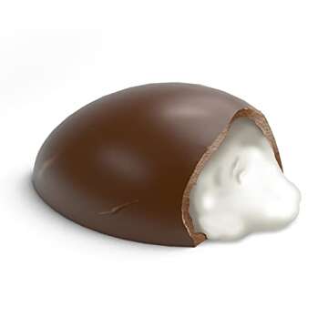 Vegan, Gluten Free, Mini Cream-Filled Vegan Chocolate Eggs (12 pieces) | Allergy Friendly | Easter Chocolate Candy | Dairy Free, Nut Free, Peanut Free, Egg Free | No Whey Foods