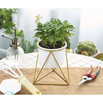 Lichamp Flowerplus Modern Succulent Planter Pot 4 inch with Stand, Indoor Desktop Decor 4.33 inch Small White Ceramic Cactus Round Pot with Gold Metal Holder