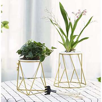 Lichamp Flowerplus Modern Succulent Planter Pot 4 inch with Stand, Indoor Desktop Decor 4.33 inch Small White Ceramic Cactus Round Pot with Gold Metal Holder