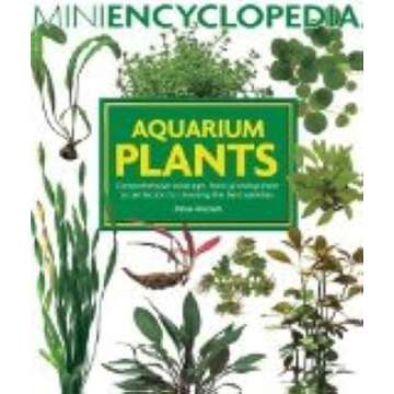 Aquarium Plants: Comprehensive coverage, from growing them to perfection to choosing the best varieties.