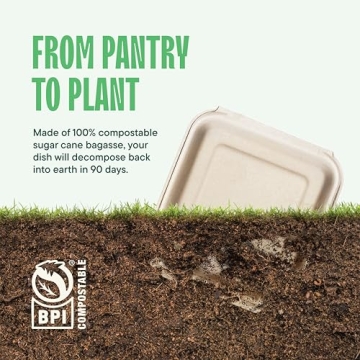 Eco-Friendly Clamshell Take Out Food Containers in Bulk