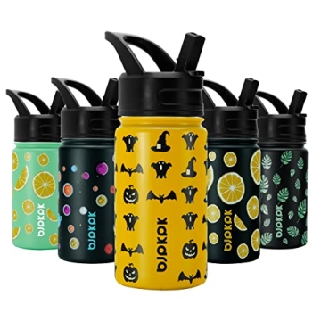 15oz Insulated Water Bottle with Straw Lid