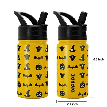 15oz Insulated Water Bottle with Straw Lid