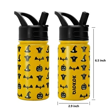 15oz Insulated Water Bottle with Straw Lid