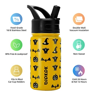 15oz Insulated Water Bottle with Straw Lid