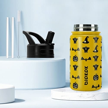 15oz Insulated Water Bottle with Straw Lid