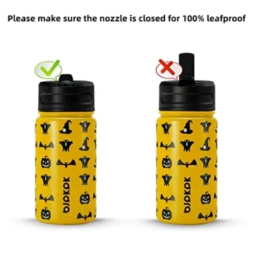 15oz Insulated Water Bottle with Straw Lid