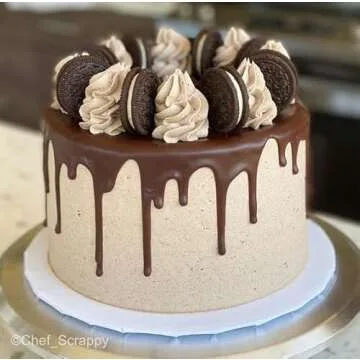 Crafare 6x4 Inch Foam Dummy Cake Round for Crafts 4pcs 6 Inch Round Cake Dummy Discs for Cake DIY Projects Wedding Holiday Christmas Crafts Making and School Modeling