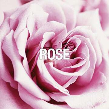 Ed Hardy Women's Perfume Fragrance Set, Eau De Parfum & Fragrance Body Mist, 2 Piece Set