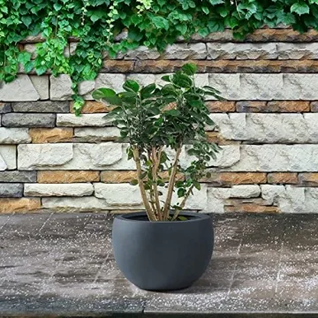 Kante 19.9" Outdoor/Indoor Concrete Planter for Stylish Spaces