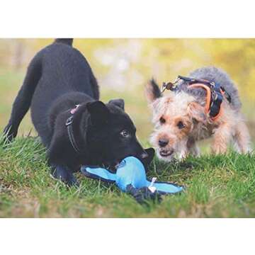 Nerf Dog Launching Duck for Interactive Dog Play