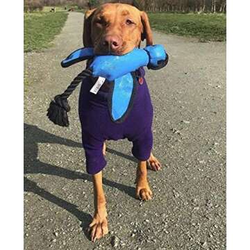 Nerf Dog Launching Duck for Interactive Dog Play