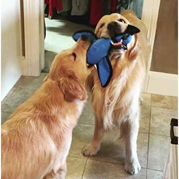 Nerf Dog Launching Duck for Interactive Dog Play