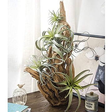 Lifelike 4 Pack Artificial Pineapple Grass Air Plants for Home Decor