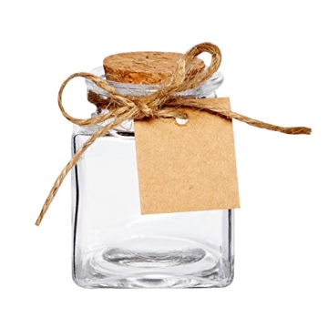 Charming Glass Bottles with Cork Stoppers for Gifts