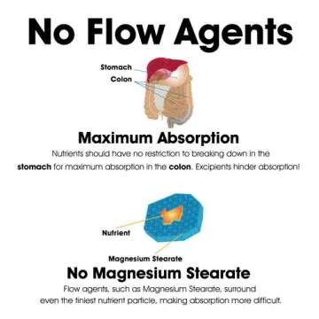 Dr. Clark Pepsin Supplement 700mg Digestive Support