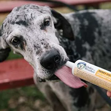 Under the Weather Ready Cal Gel for Dogs | High Calorie Supplement