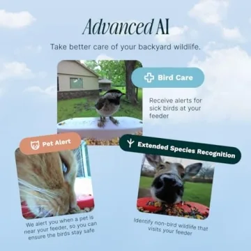 Bird Buddy Smart Bird Feeder - Solar & AI Bird ID System