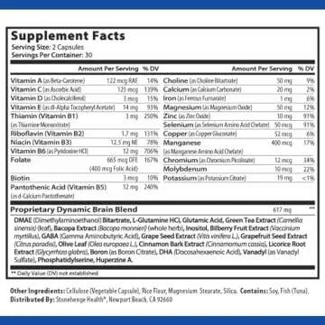 Stonehenge Health Dynamic Brain Supplement – Memory, Focus, & Clarity– Formulated with 40 Unique Nootropic Ingredients: Choline, Phosphatidylserine, Bacopa Monnieri, and Huperzine A