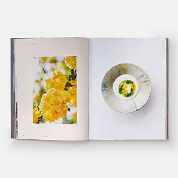 Monk: Light and Shadow on the Philosopher's Path