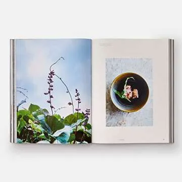 Monk: Light and Shadow on the Philosopher's Path