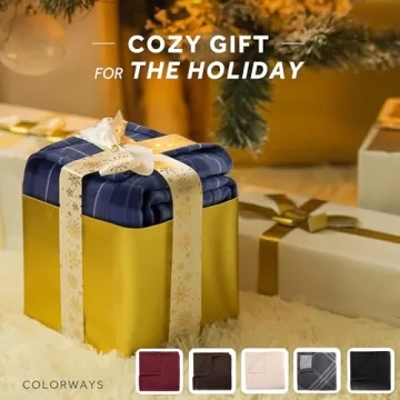 Sunbeam Ultra Heated Blanket, Cozy Blue Plaid Design